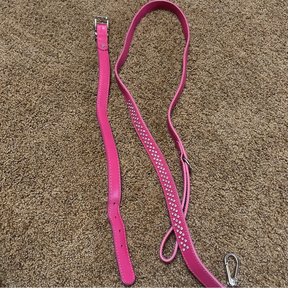 Larger Collar with Matching Leash - Picture 12 of 13